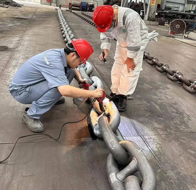 समुद्री दुनिया की 